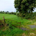 A broken rusty gate in a grassy area